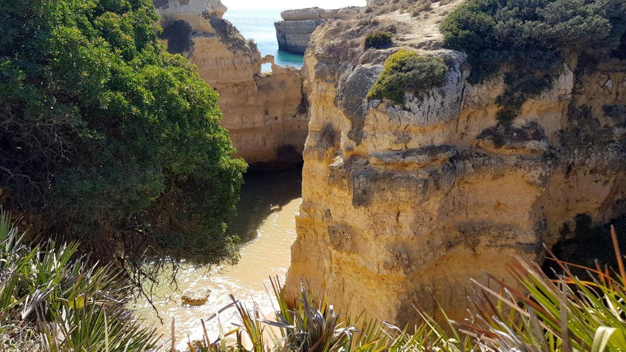 Magnific Studio With A Cozy Garden, 5 Minutes To The Beach Albufeira Ngoại thất bức ảnh