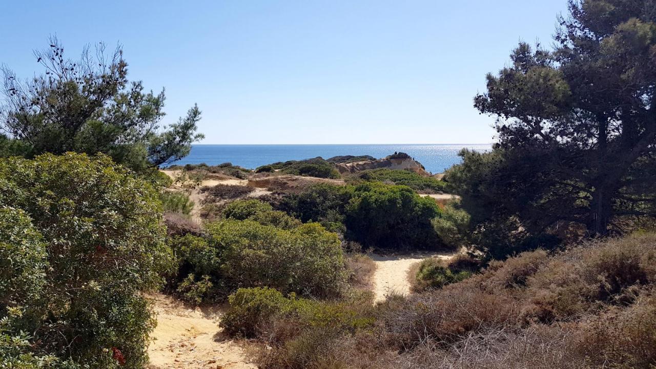 Magnific Studio With A Cozy Garden, 5 Minutes To The Beach Albufeira Ngoại thất bức ảnh