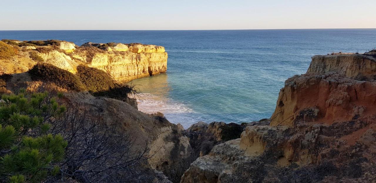 Magnific Studio With A Cozy Garden, 5 Minutes To The Beach Albufeira Ngoại thất bức ảnh