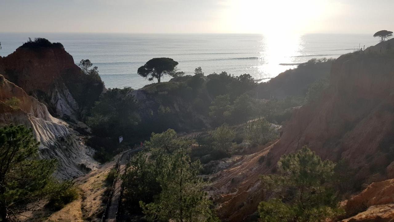 Magnific Studio With A Cozy Garden, 5 Minutes To The Beach Albufeira Ngoại thất bức ảnh