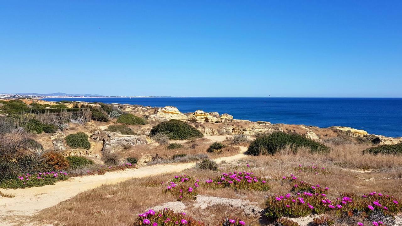Magnific Studio With A Cozy Garden, 5 Minutes To The Beach Albufeira Ngoại thất bức ảnh