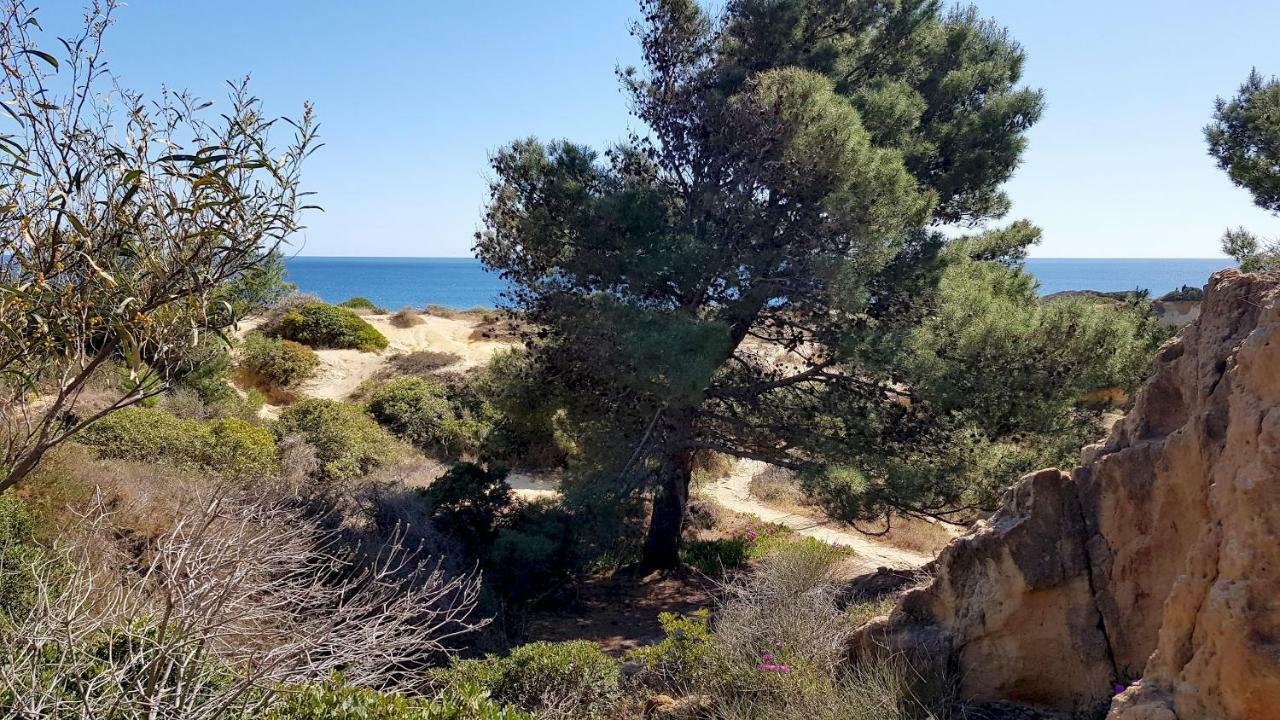 Magnific Studio With A Cozy Garden, 5 Minutes To The Beach Albufeira Ngoại thất bức ảnh